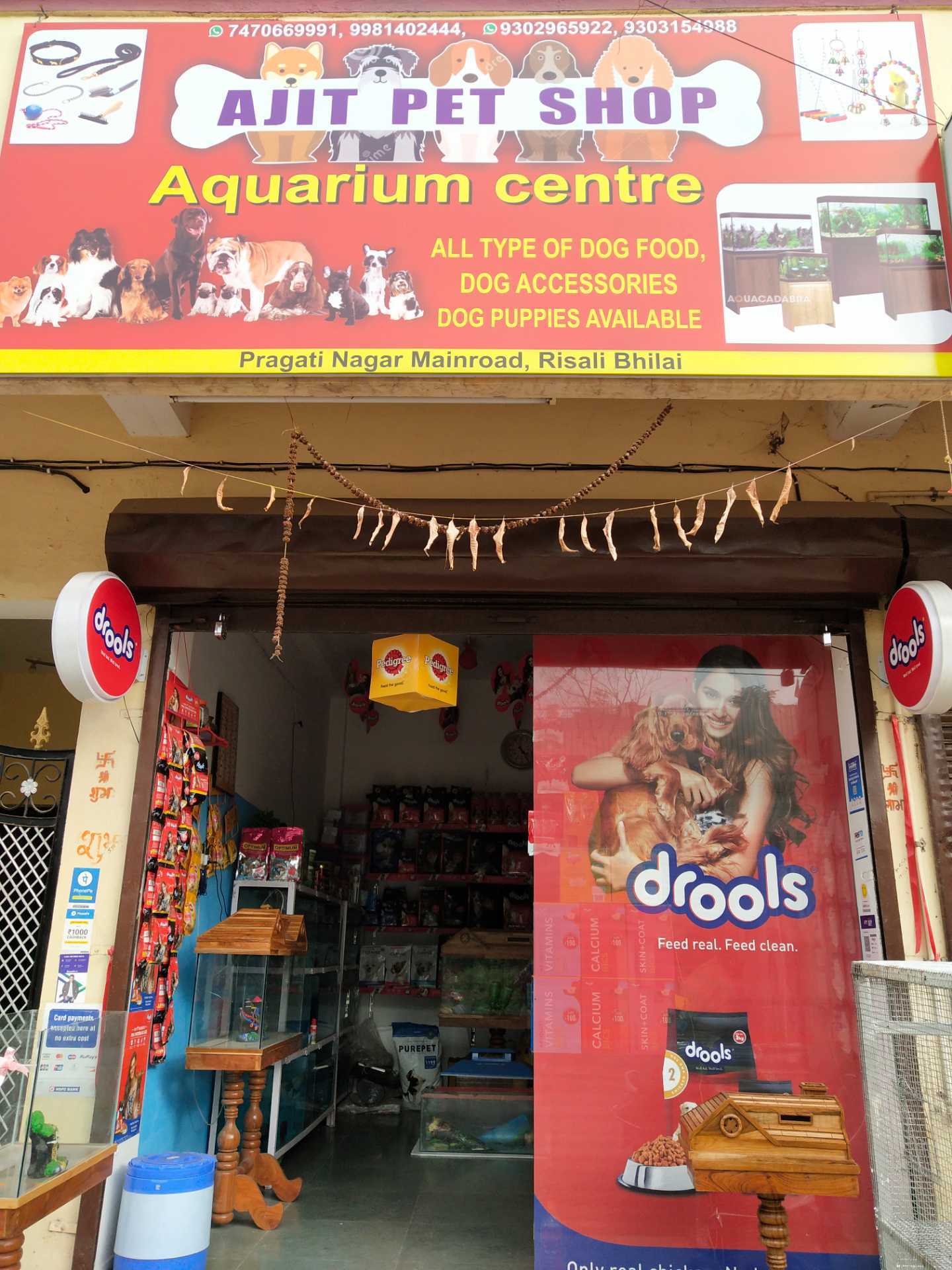 aquacadabra aquarium