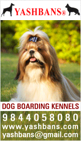 Yashbans Kennels (hennur main road)