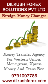 DILKUSH FOREX SOLUTIONS PVT LTD