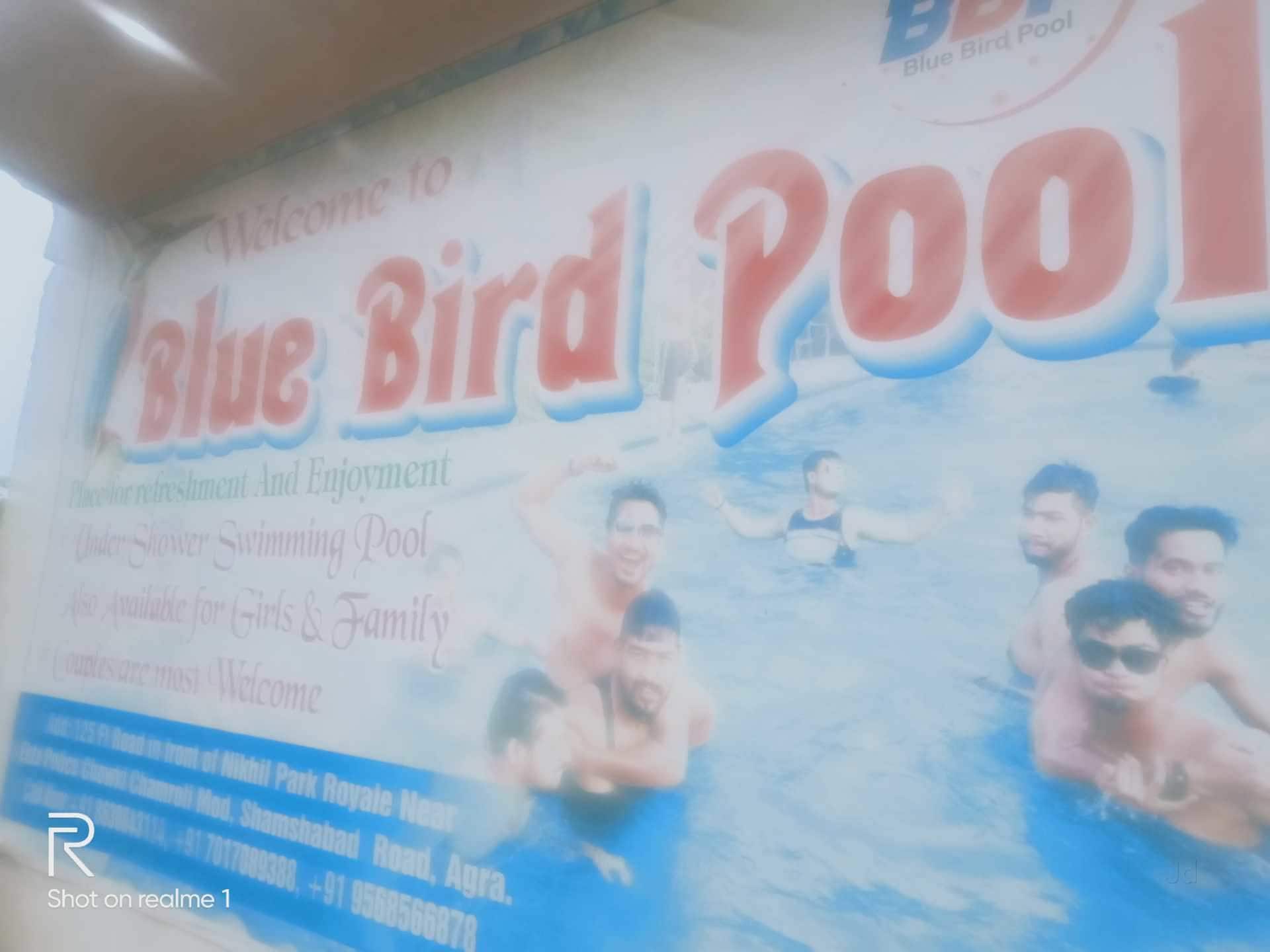 Top Swimming Pools In Dayal Bagh Best Pool Top Swimming Pools In Dayal Bagh Best Pool
