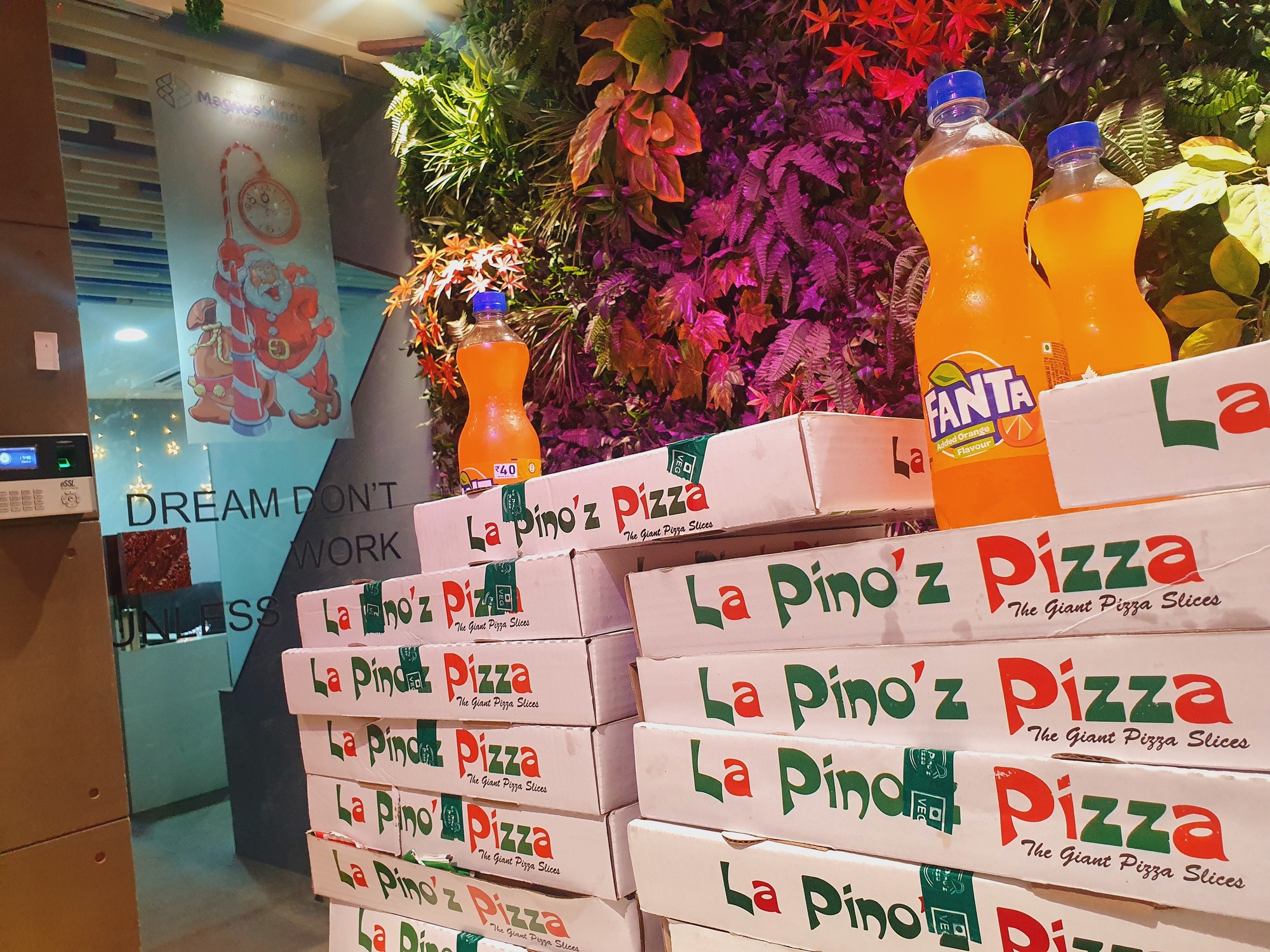 Magnusminds It Solution LLP in Shyamal, Ahmedabad - Best Computer Software  Development Companies in Ahmedabad - Justdial