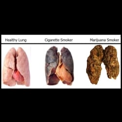how do you spell marlboro cigarettes What your cigarette brand says about you | by Beck Saxon how do you spell marlboro cigarettes What your cigarette brand says about you | by Beck Saxon