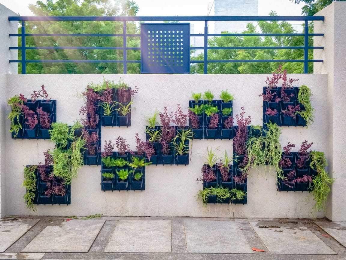 Top Plant Nurseries in Maninagar Best Nursery Plant Suppliers