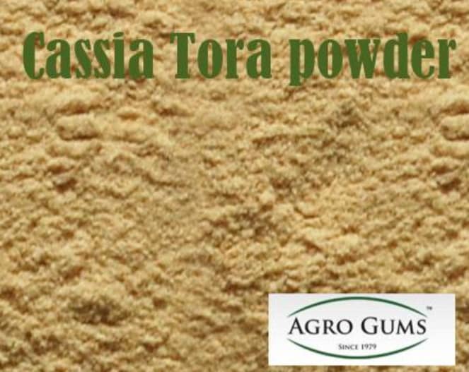 saya Câmara Municipal lançará Fórum para discutir qualidade da