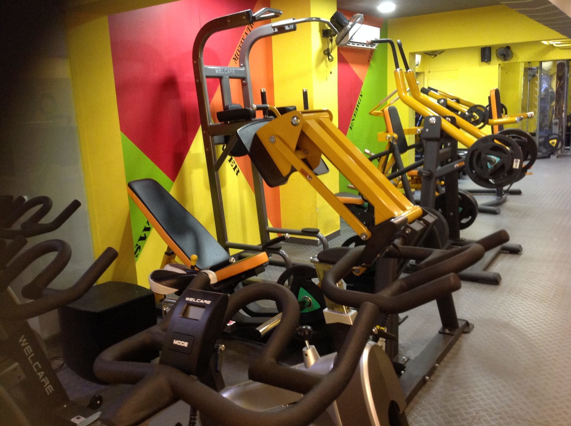 Alpha Armour Gym atelieryuwa.ciao.jp