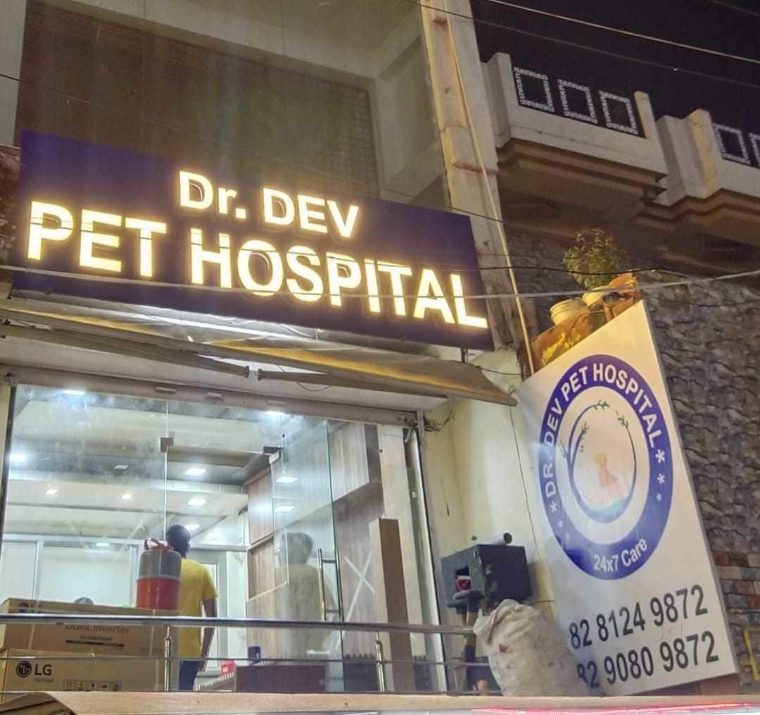 Top Veterinary Hospitals in Ajmer Best Veterinary Hospitals Justdial