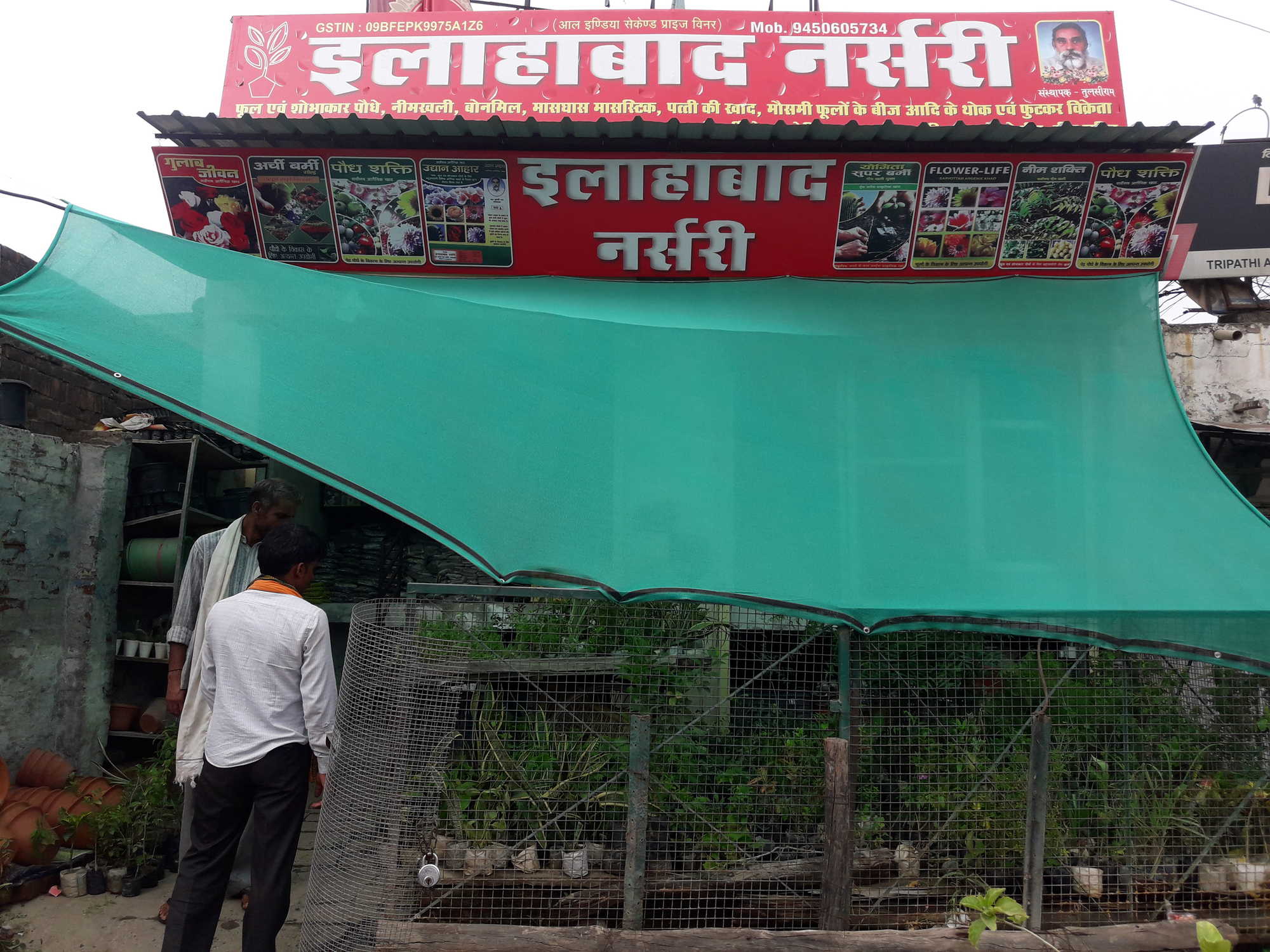 Catalogue Arjun Singh Nursery in Civil Lines , Allahabad Justdial