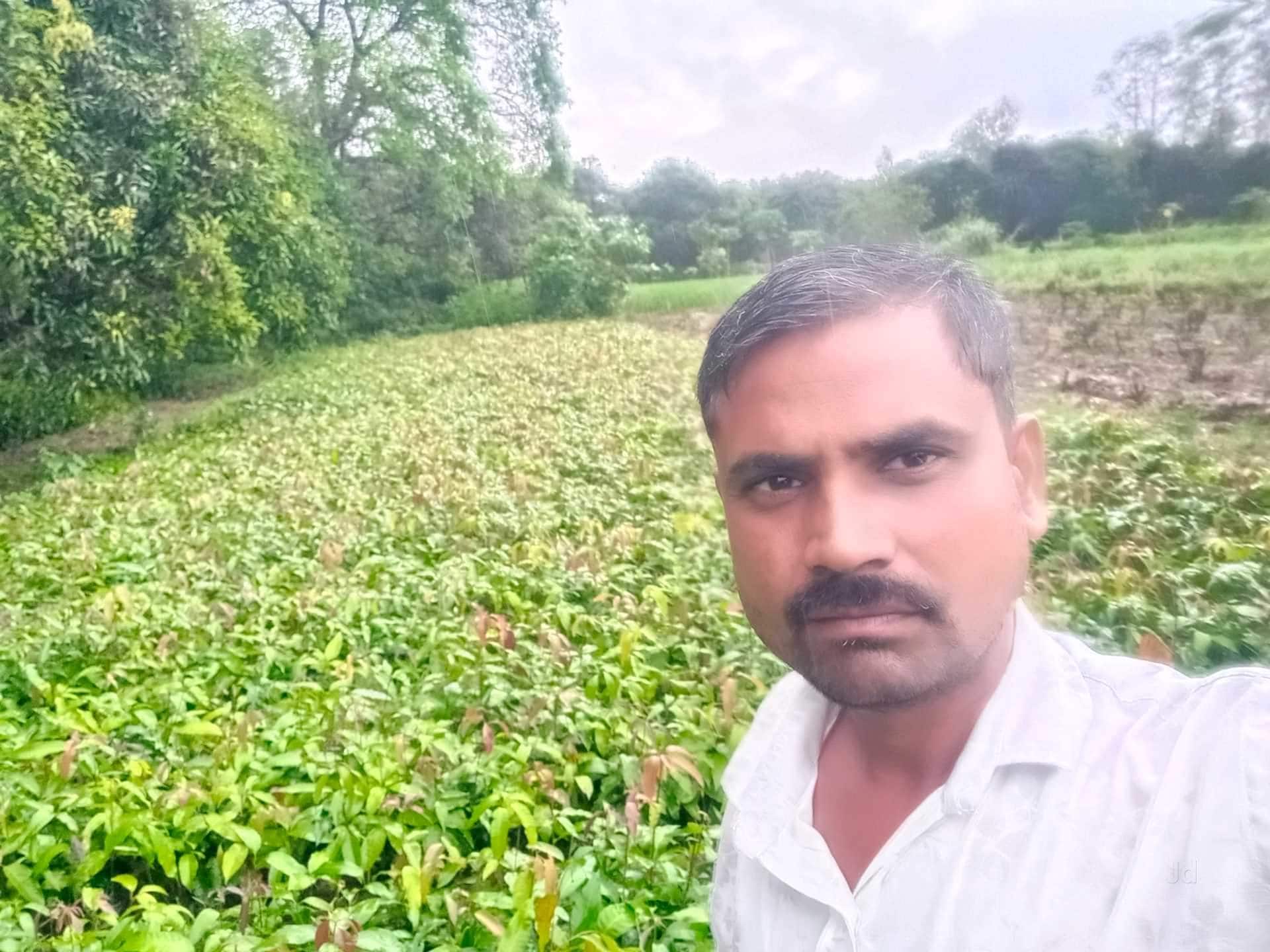 Catalogue Kisan Nursery in Aurangabad Maharashtra Justdial