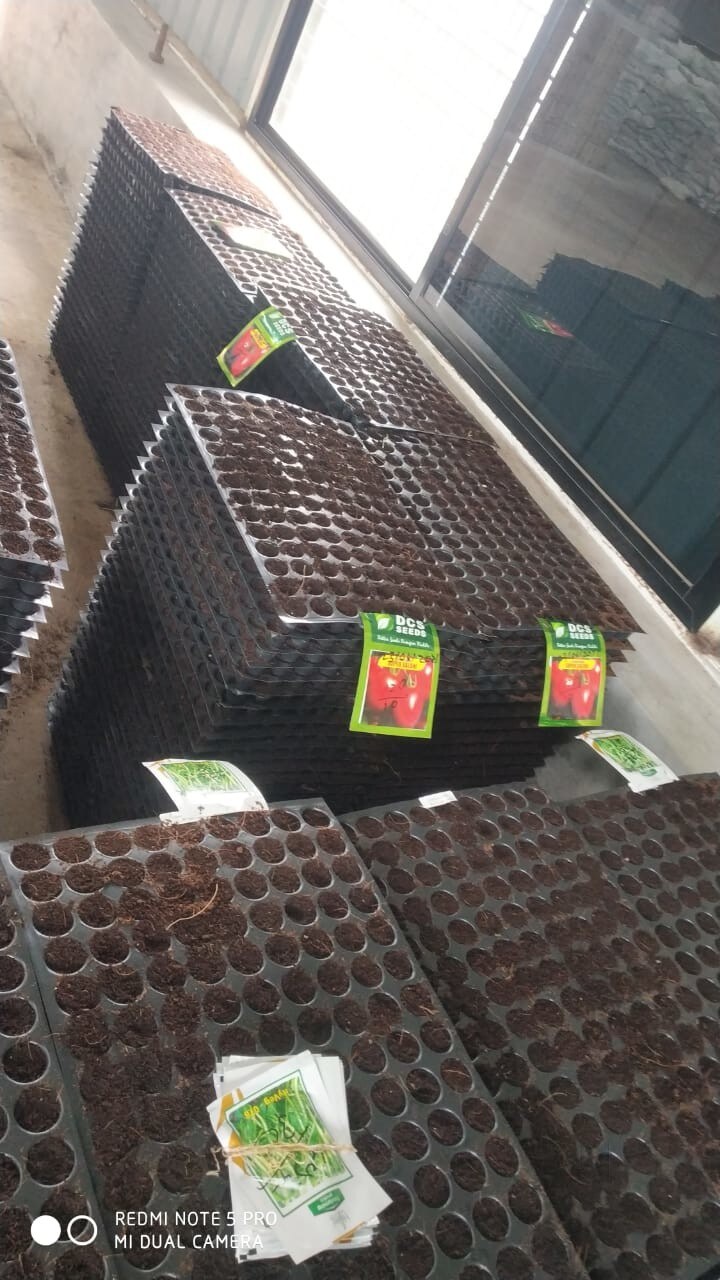 Catalogue Kisan Nursery in Aurangabad Maharashtra Justdial