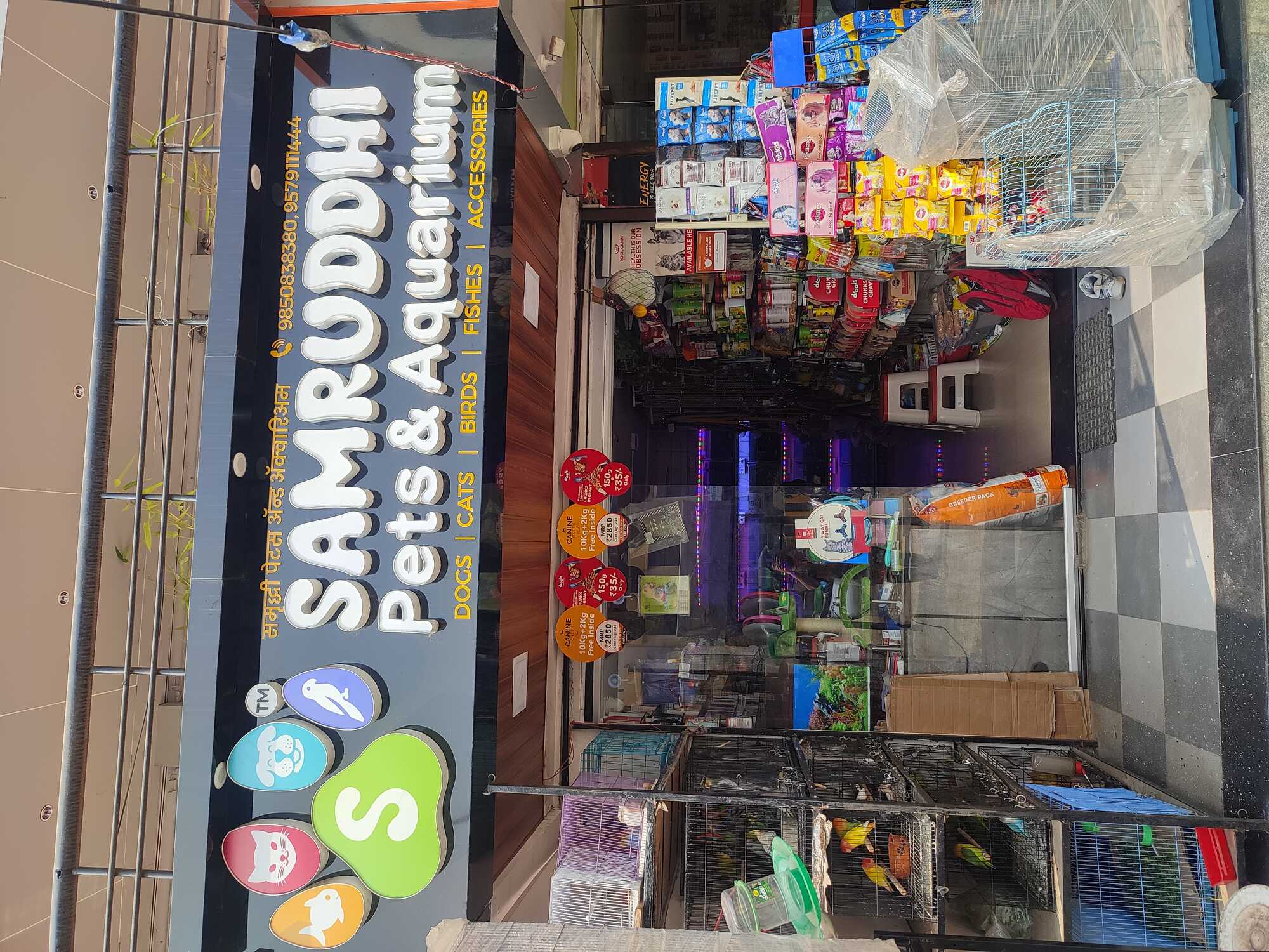 Dhumal Pet Cage Price Starting From Rs Find Verified