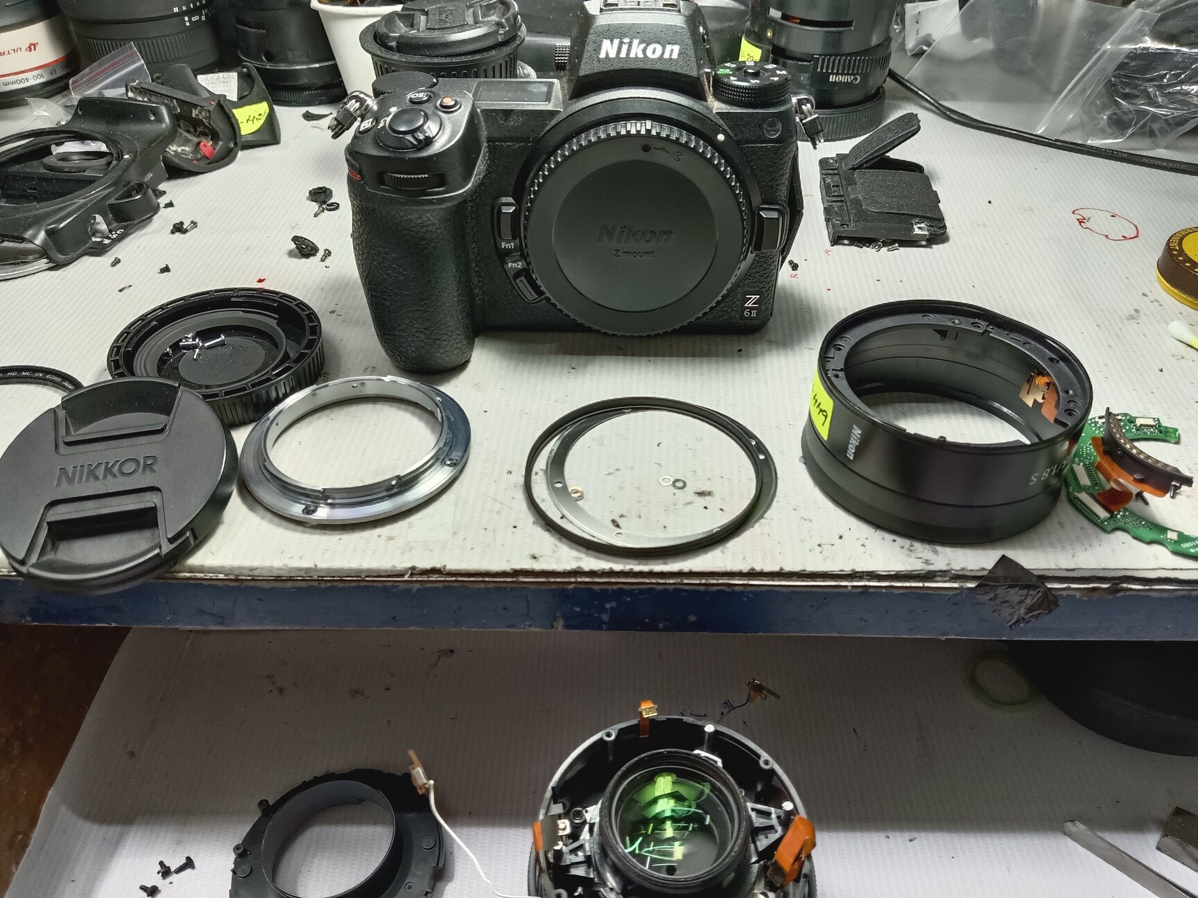 Nct in Bangalore near me Justdial