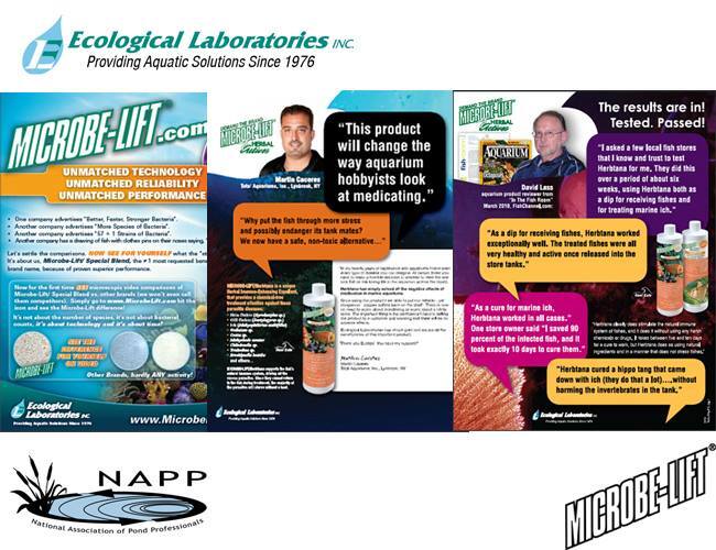 Catalogue Shree Aishwarya Aquarium in Annasandrapalya , Bangalore