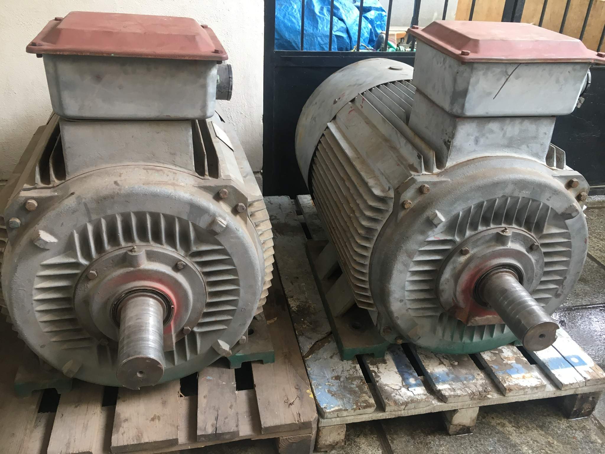 Catalogue The Indian Electric Co. in Bangalore Justdial