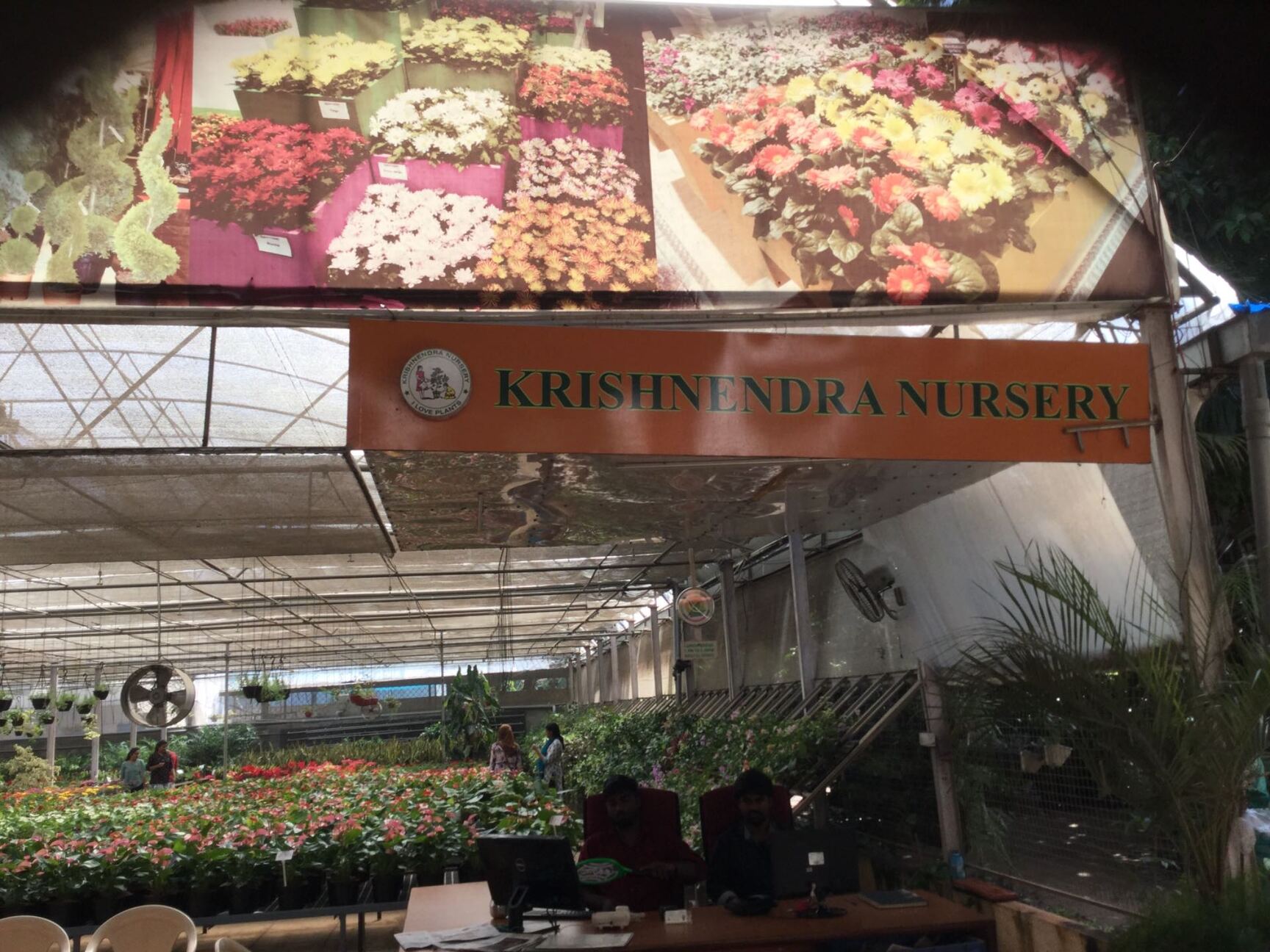 Catalogue Naresh Plant Nursery in Agara , Bangalore Justdial