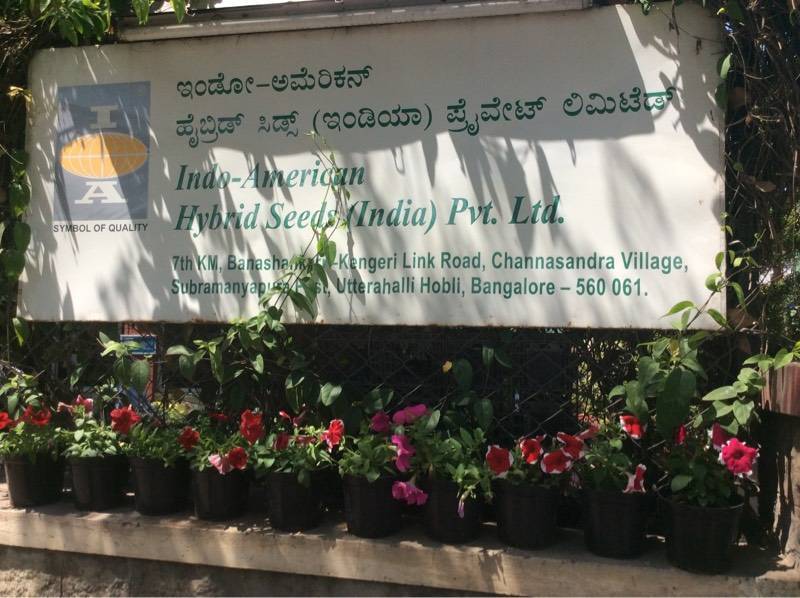 Indo American Hybrid Seeds India Pvt Ltd Annaswamy Mudaliar Road Plant Nurseries In Bangalore Justdial