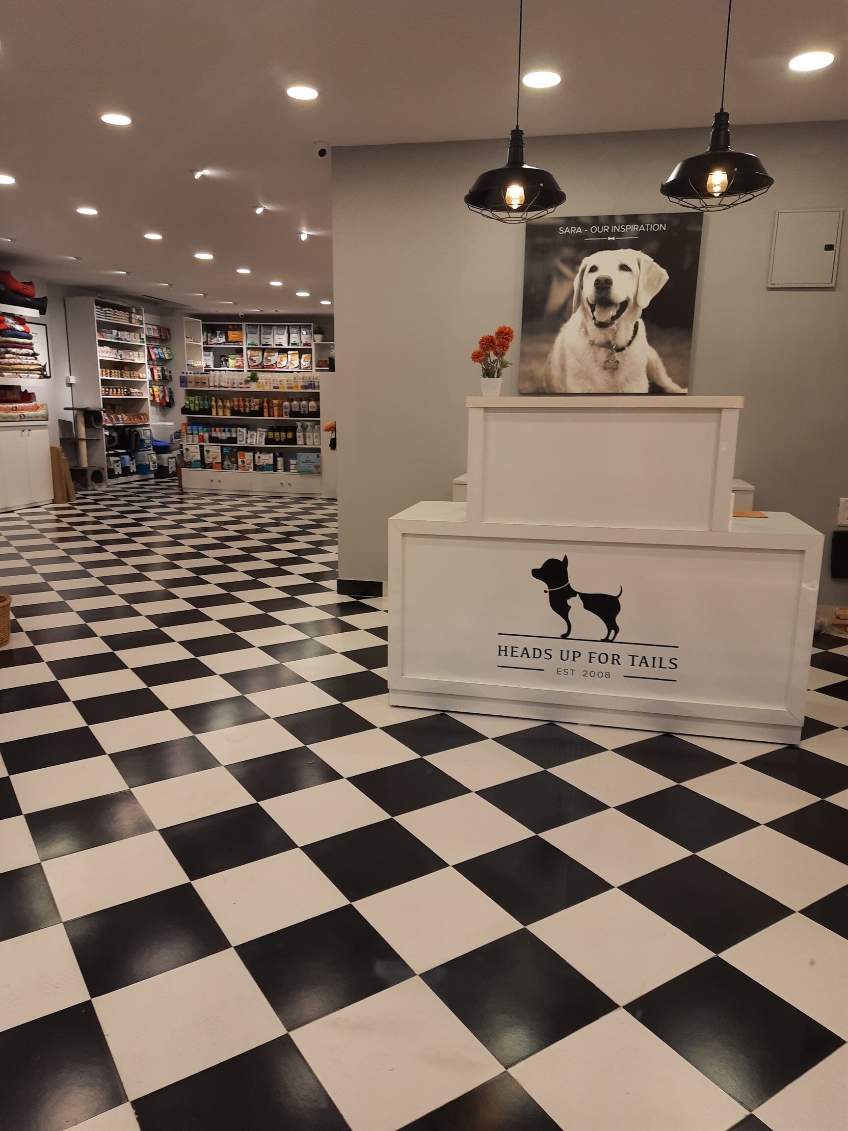 Find list of Heads Up For Tails in Wayanad near me Justdial