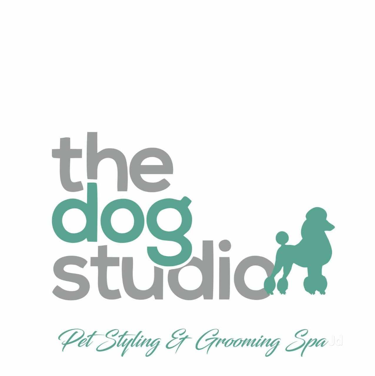 Top Dog Massage Services in Bangalore near me Justdial