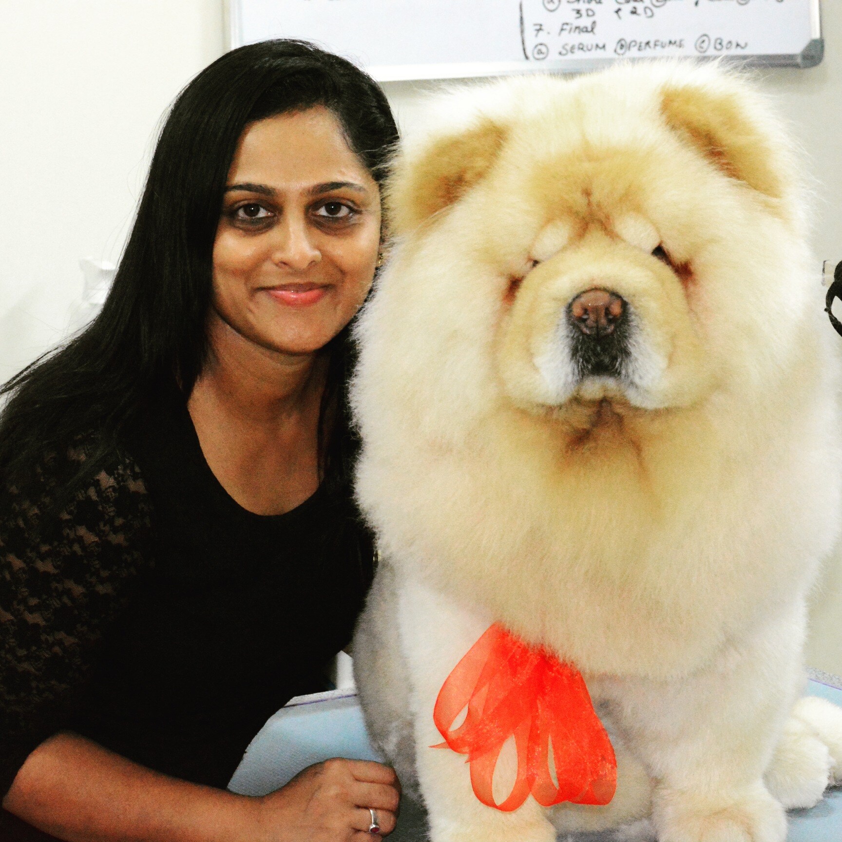 Tesslan Dog Spa Llc - l04fqmj