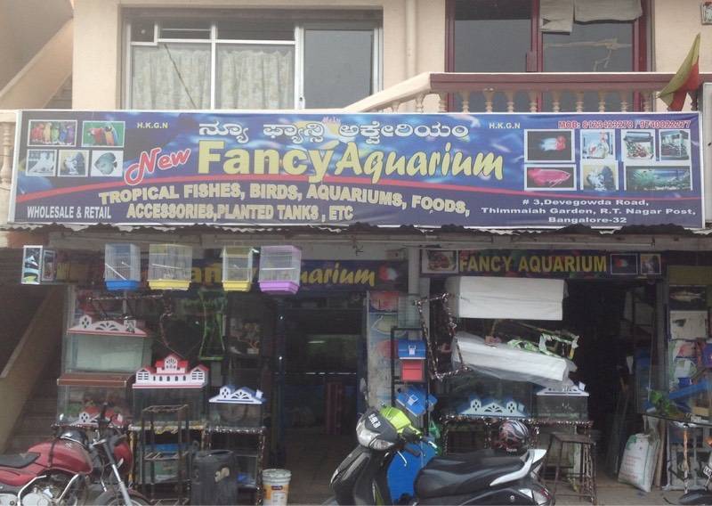 aquarium wholesale shop near me