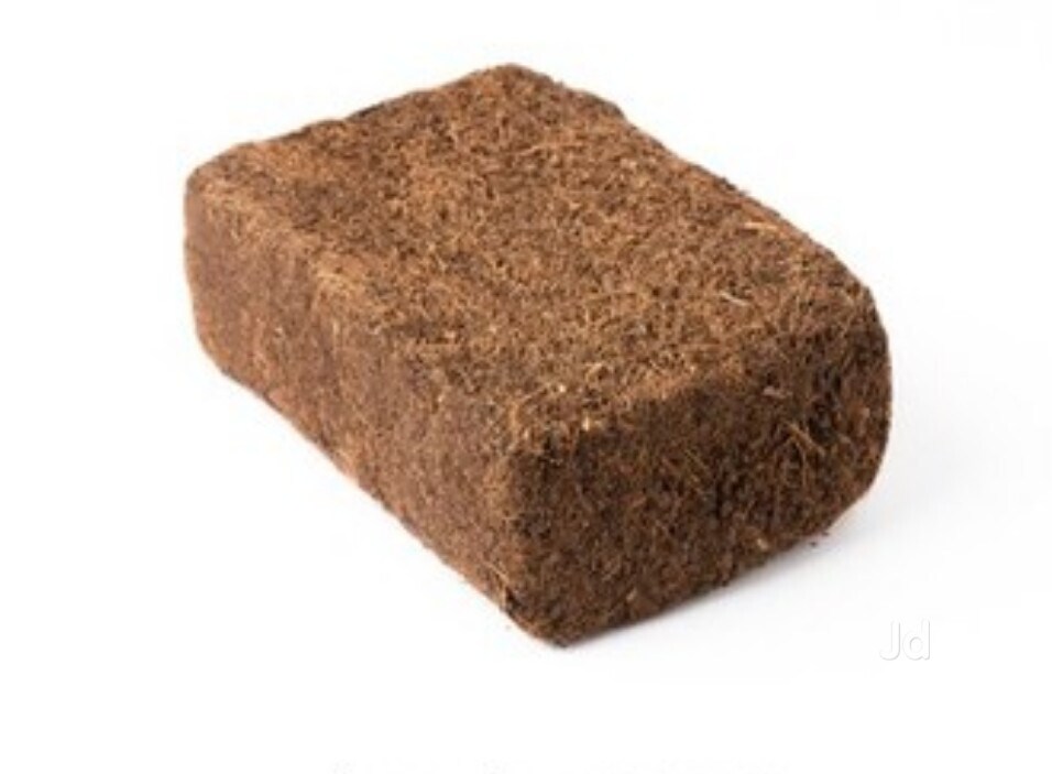 Catalogue S M Enterprises Coir Fiber And Cocopeat in Horamavu