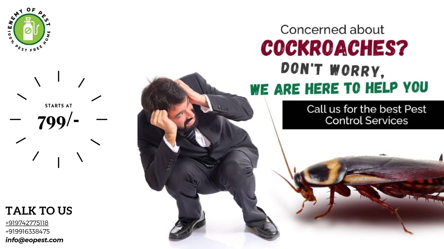 Top Bird Control Services in Whitefield Best Pest Control Companies