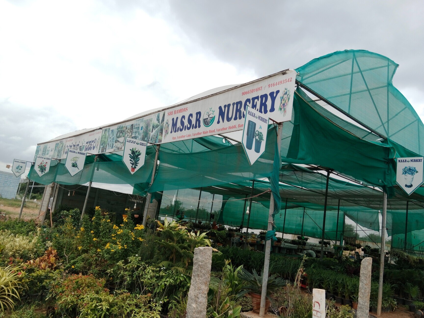 Catalogue Madeena Nursery in Varthur , Bangalore Justdial