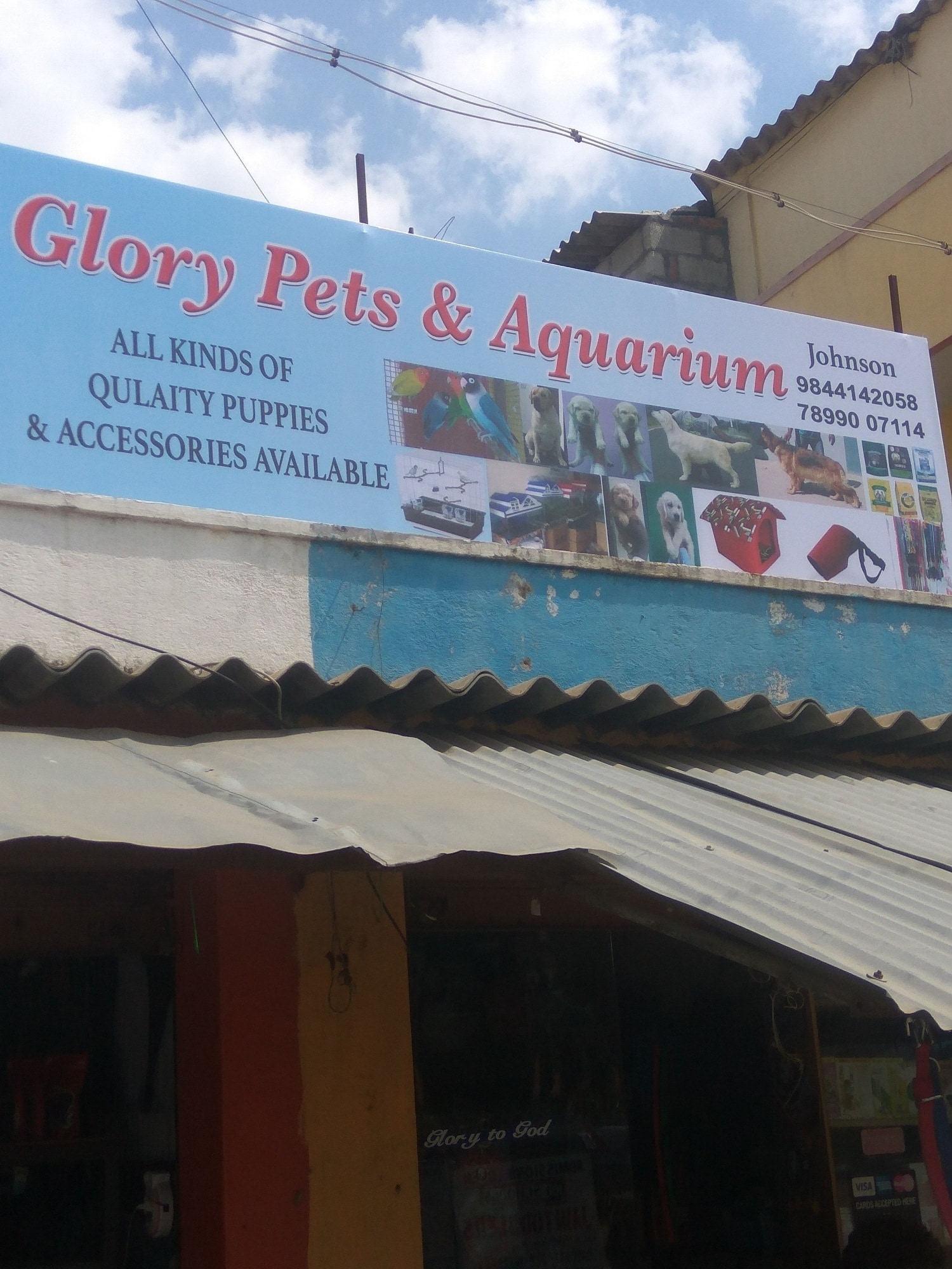 glory petshop