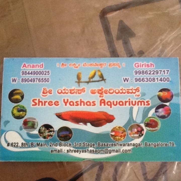 Catalogue Sri Manjunatha Aquarium in Nandini Layout , Bangalore