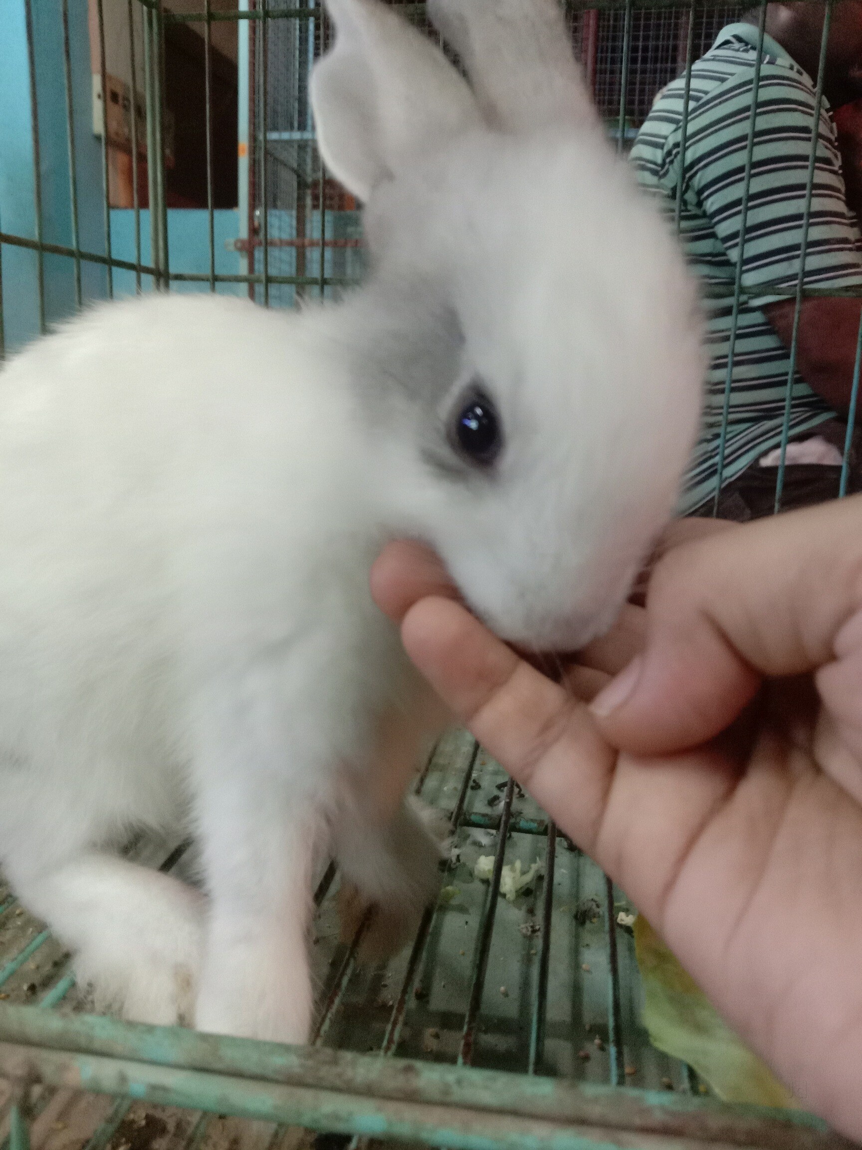 Catalogue Hobby Circle in Varthur , Bangalore Justdial