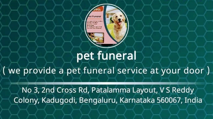 Funeral service best sale for pets