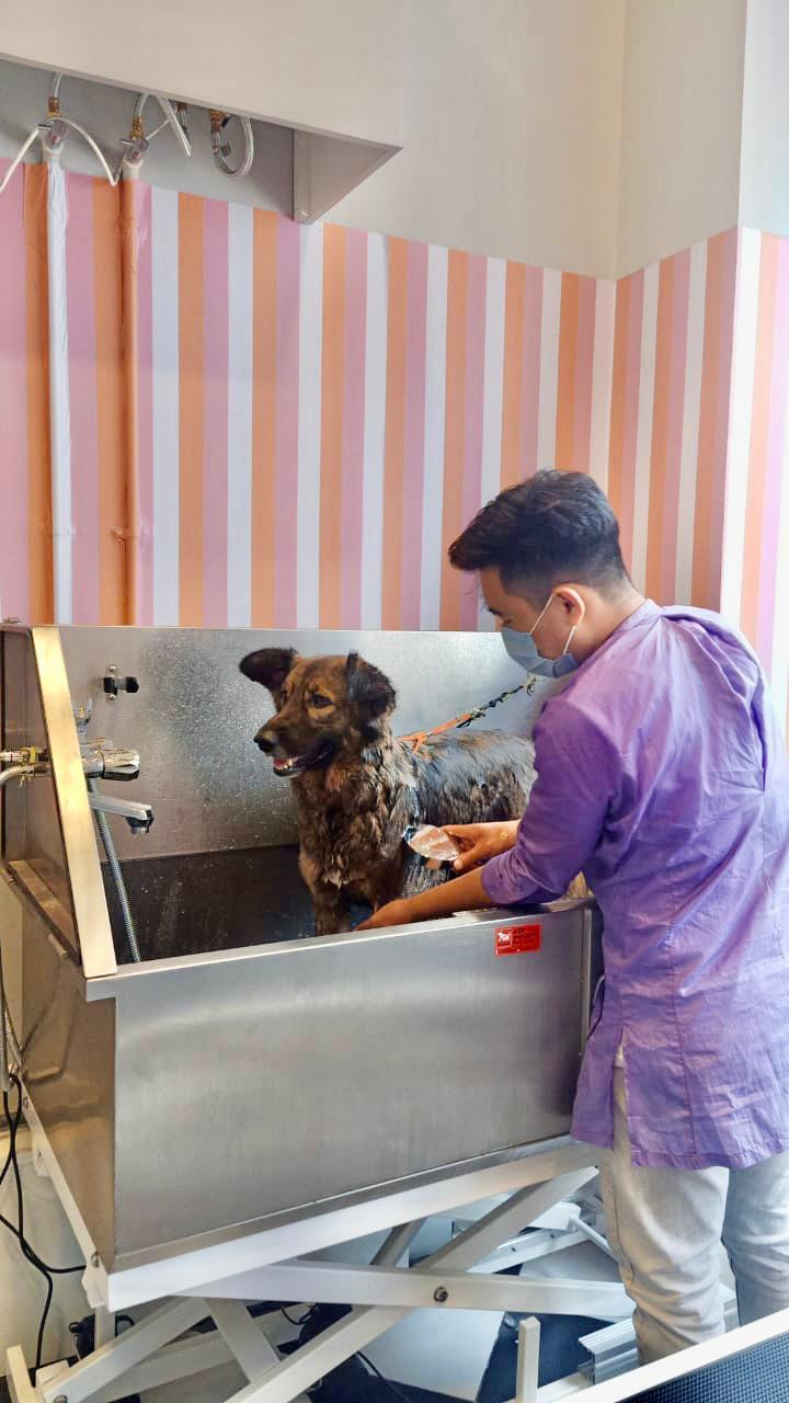 Find list of Heads Up For Tails in Bangalore near me Justdial