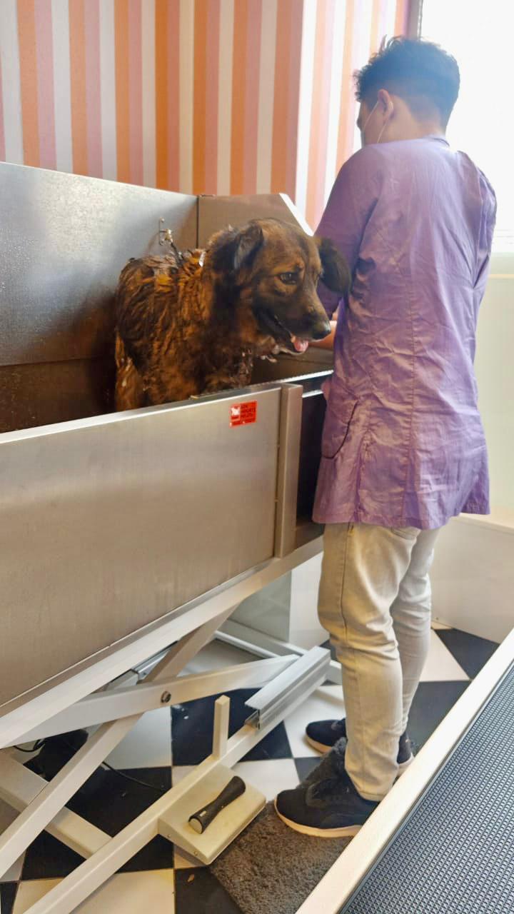 Find list of Heads Up For Tails in Kovaipudur, Coimbatore near me