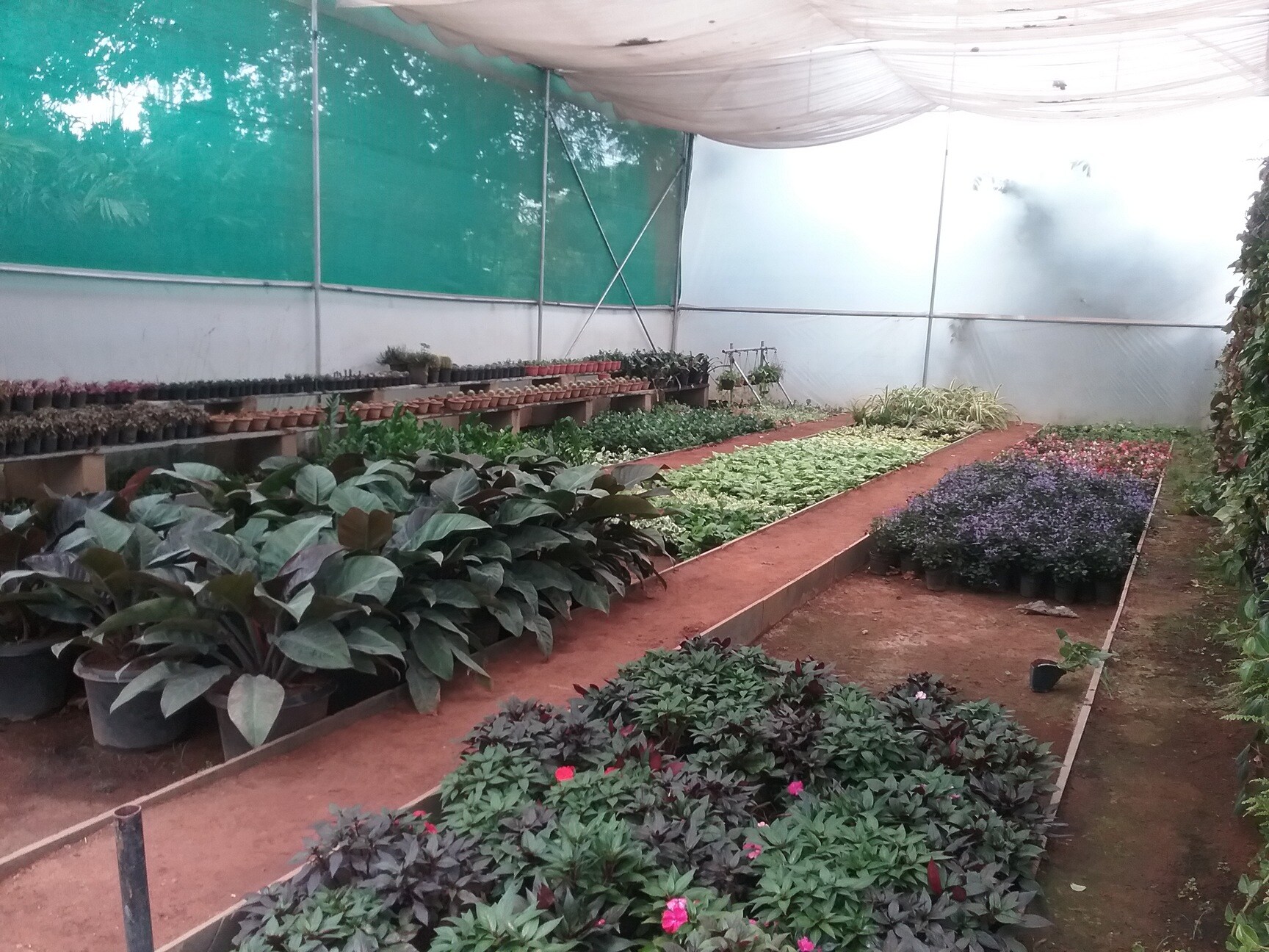 Catalogue Byreshwara Nursery in Carmelram , Bangalore Justdial