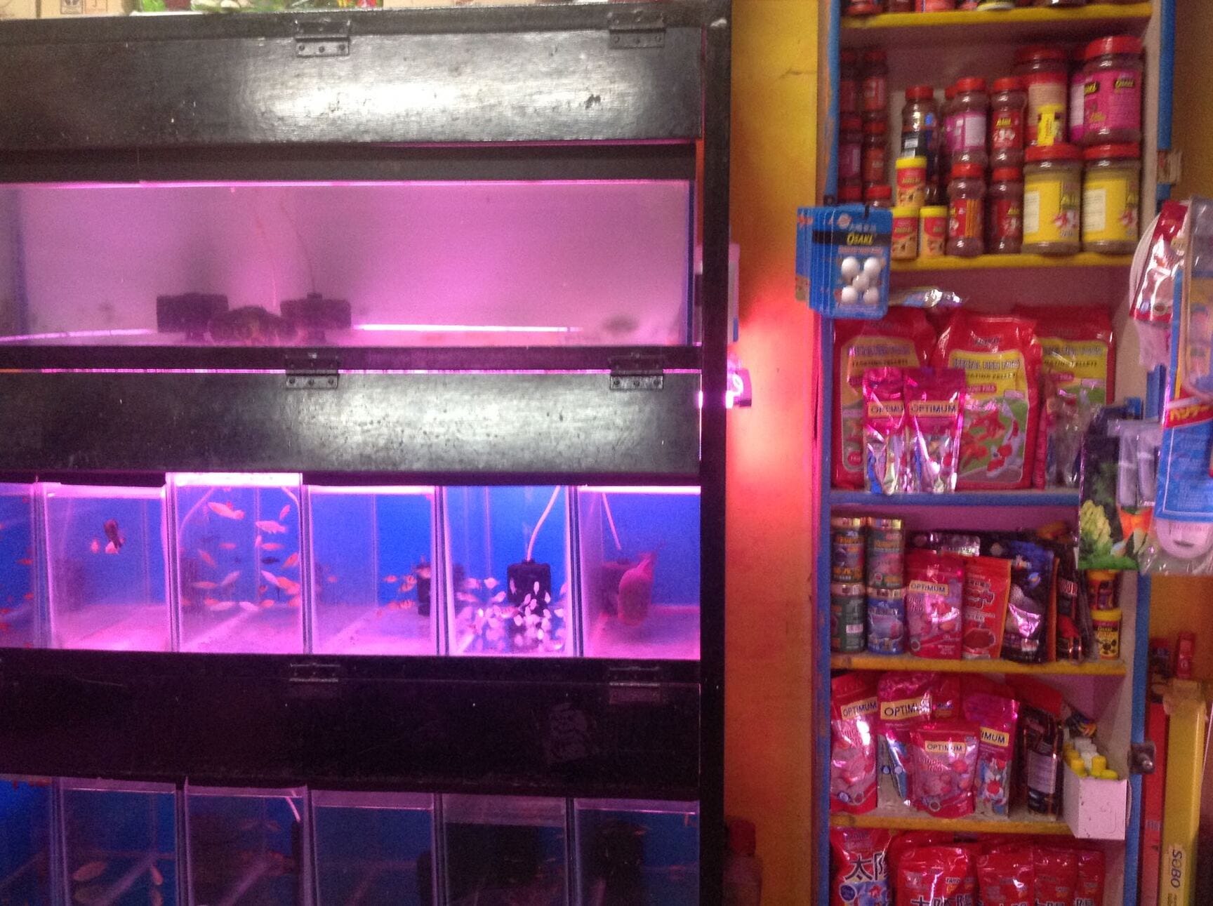 aqua pet shop near me