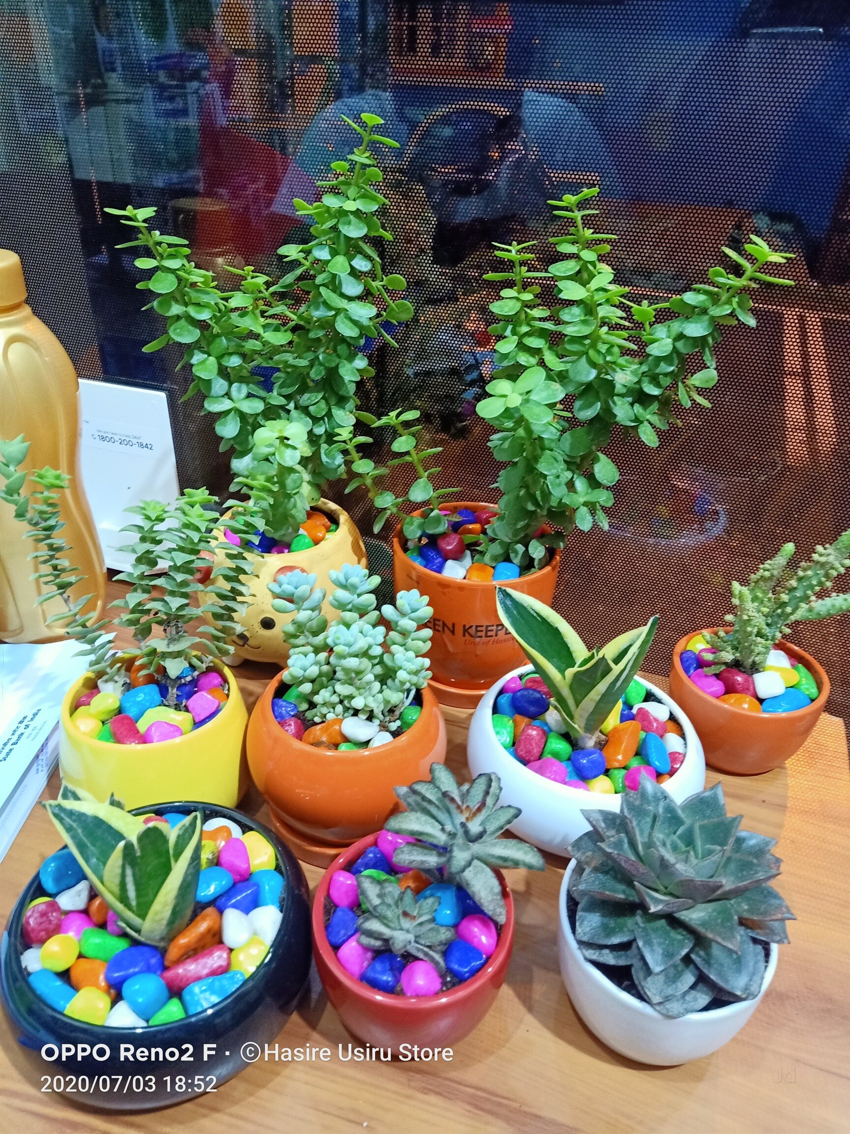 Catalogue Rivulis Plastro Drip And Green House Irrigation in Chandra