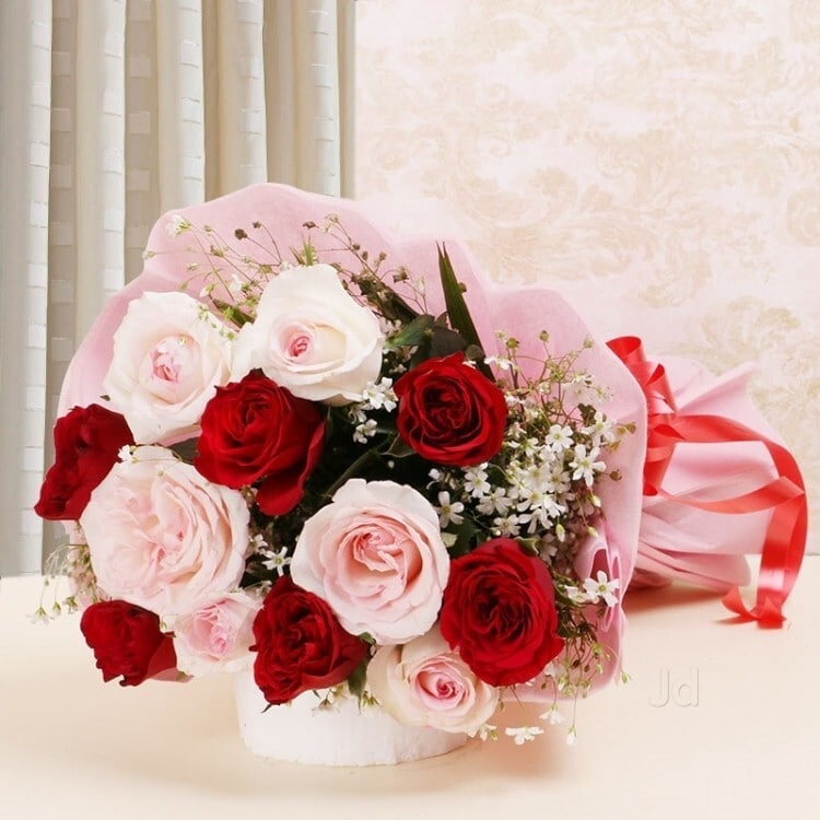 New Flower Photo Dp / 100 000 Best Beautiful Flowers ...