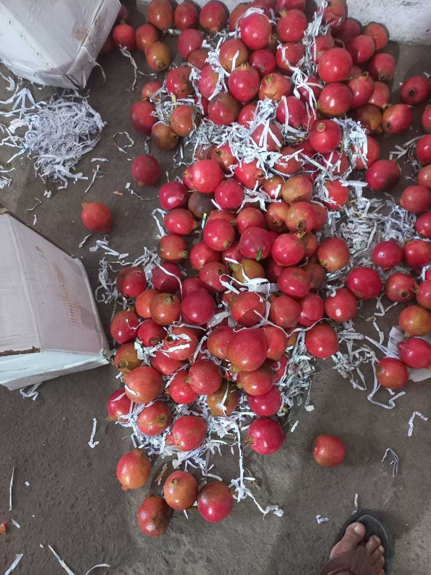 Catalogue Omar Fruit Company in Electronic City , Bangalore Justdial