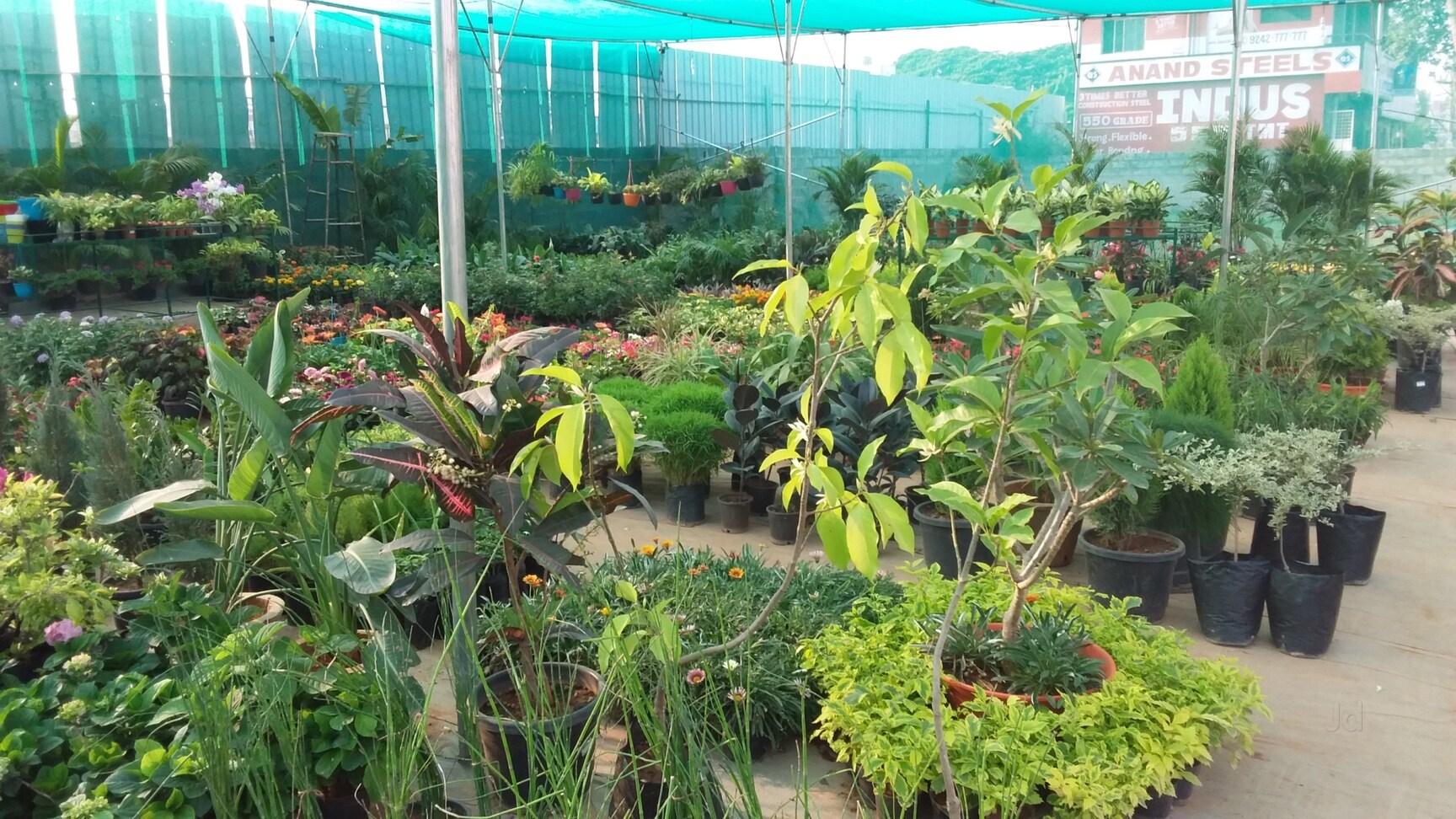 Catalogue Manasa Garden AND Landscapping in Kamalanagar , Bangalore