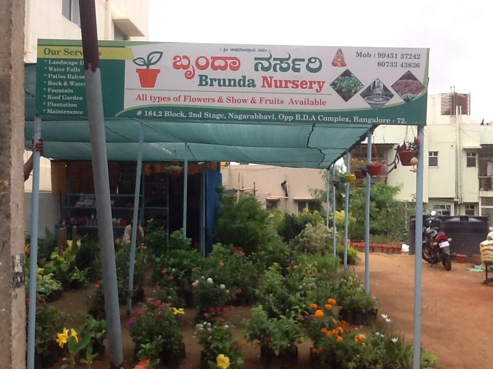Catalogue Naresh Plant Nursery in Agara , Bangalore Justdial