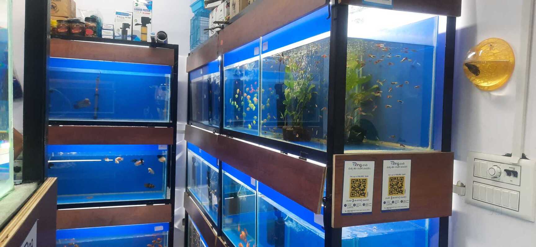 Catalogue Blue Waves Aquariums in Kumaraswamy Layout 1st Stage