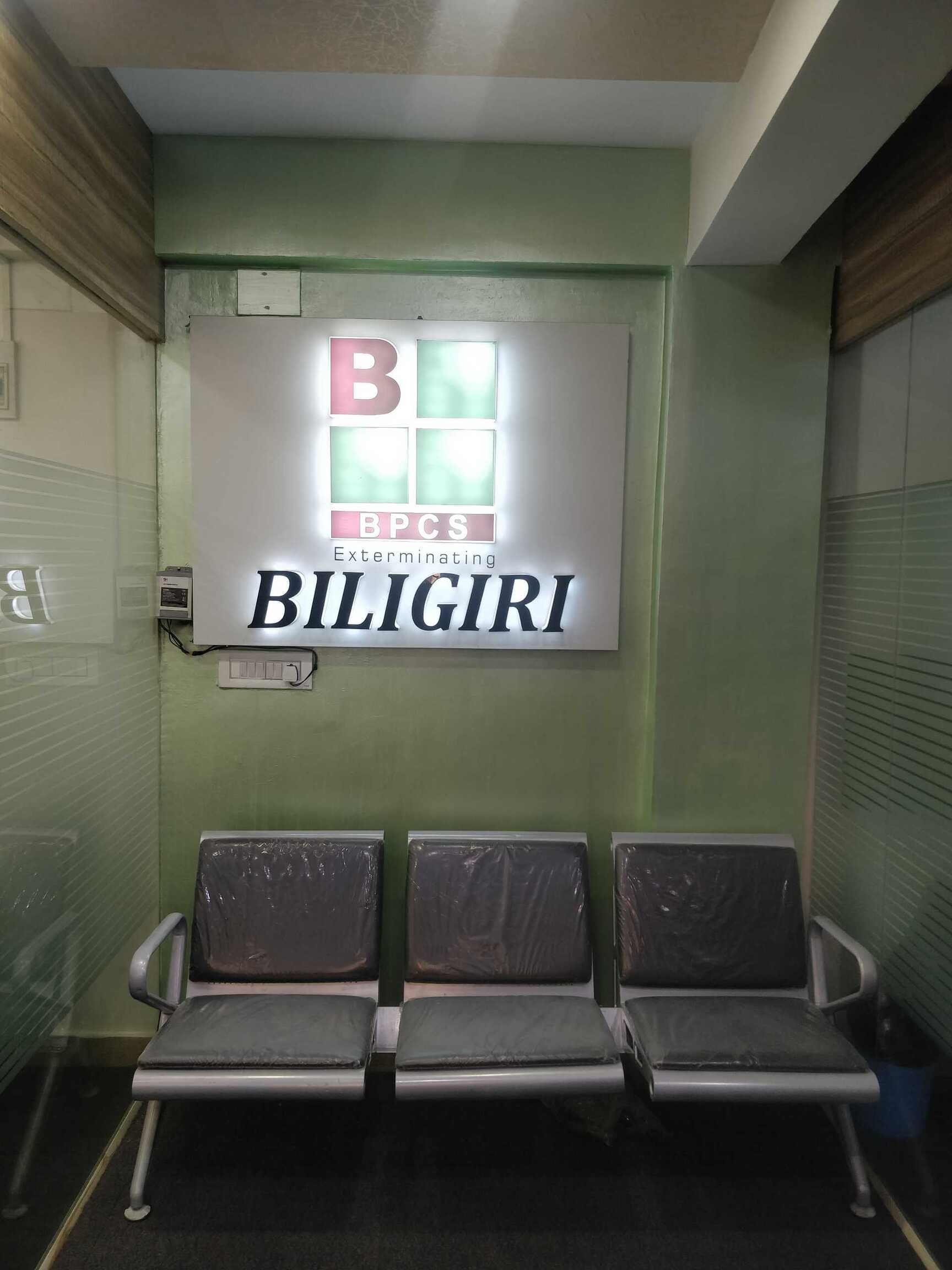 Top Bird Control Services in Whitefield Best Pest Control Companies