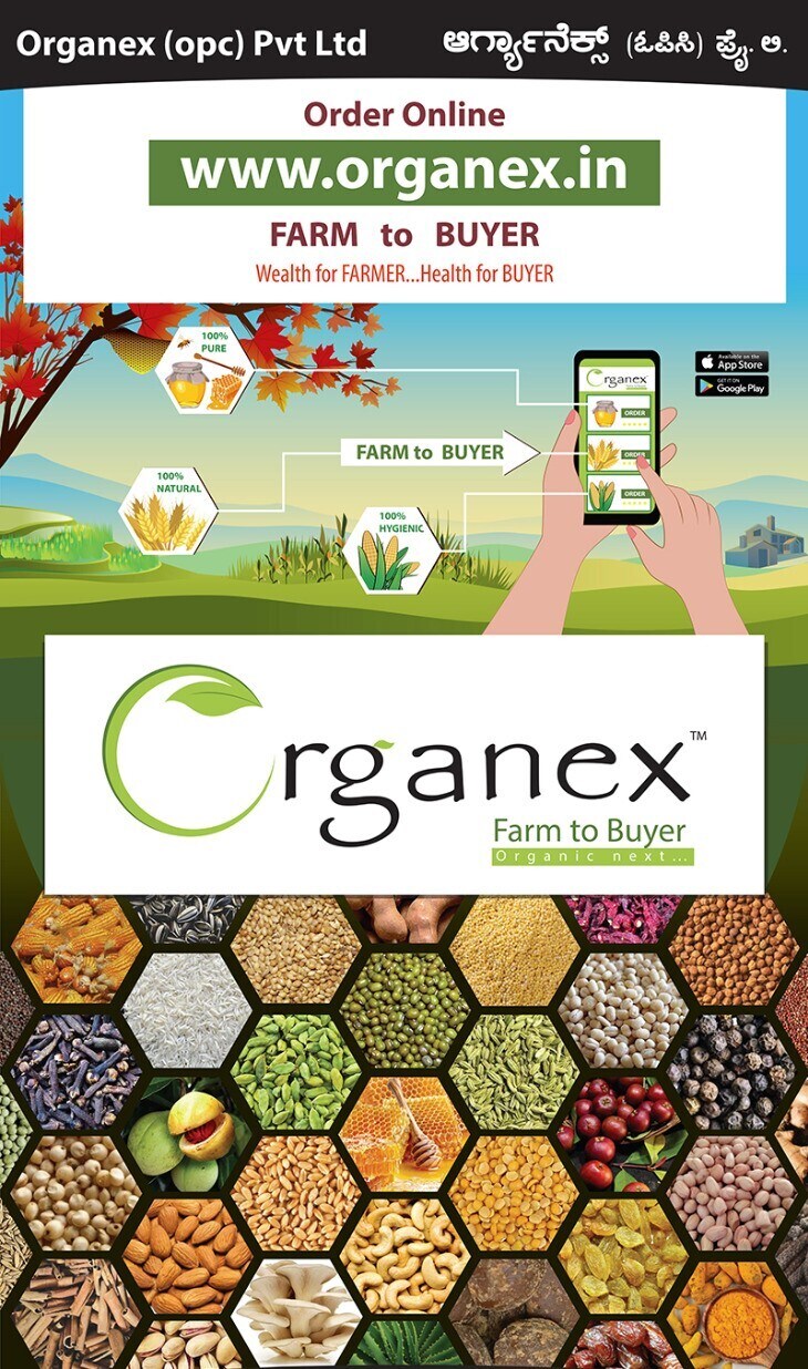 Catalogue Daily lush in Rajajinagar , Bangalore Justdial