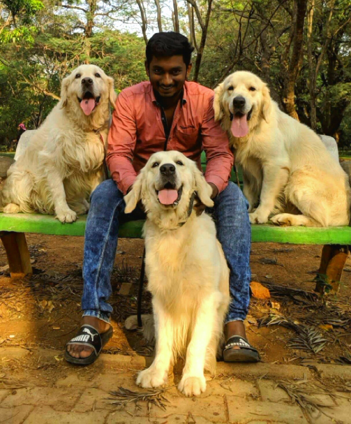 Top Dog Kennel Shops in Jp Nagar 1st Phase, Bangalore Best Dog