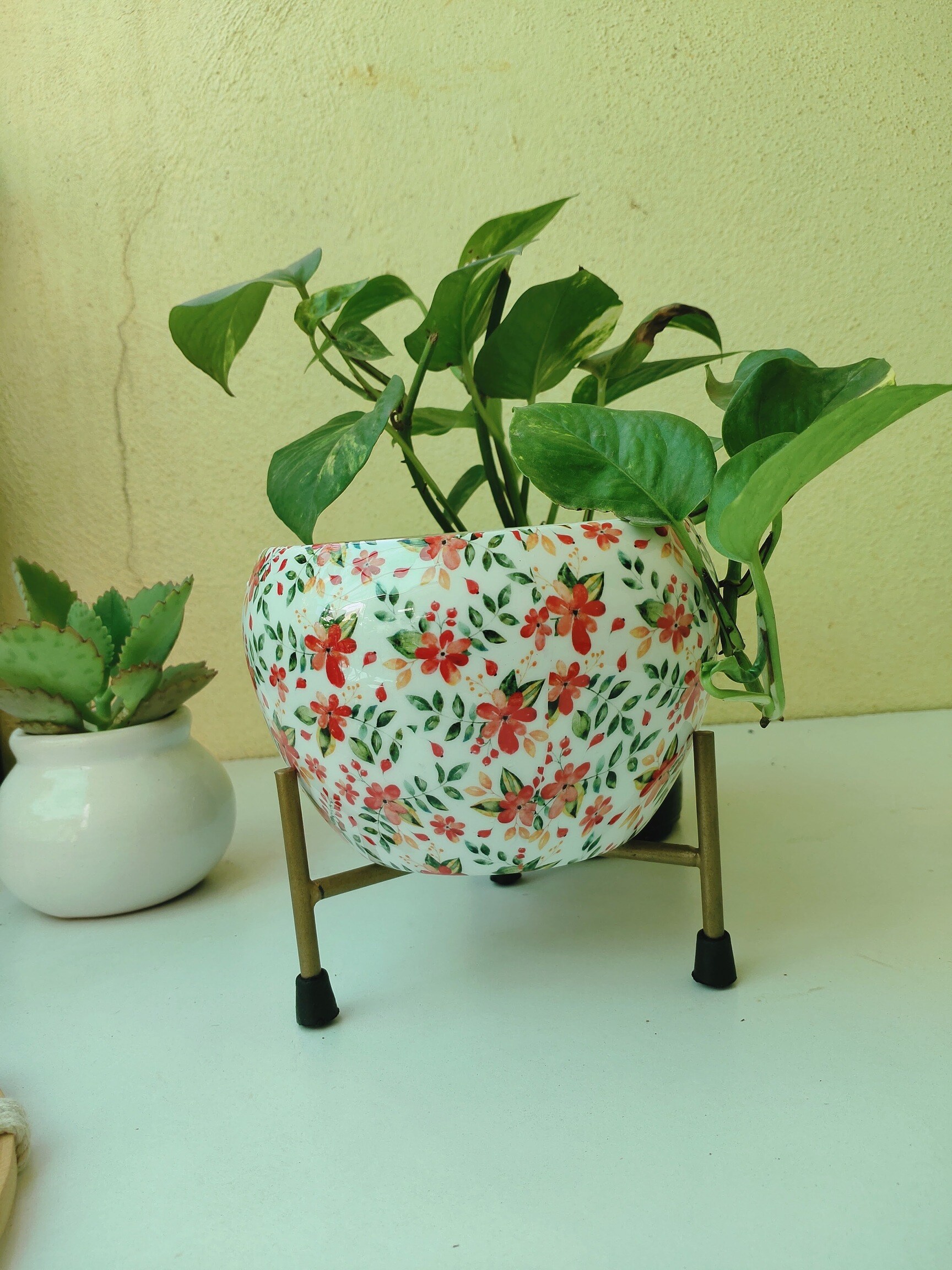 Catalogue Madeena Nursery in Varthur , Bangalore Justdial