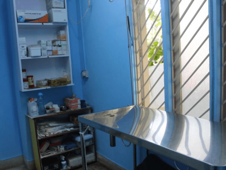 v care pet clinic whitefield