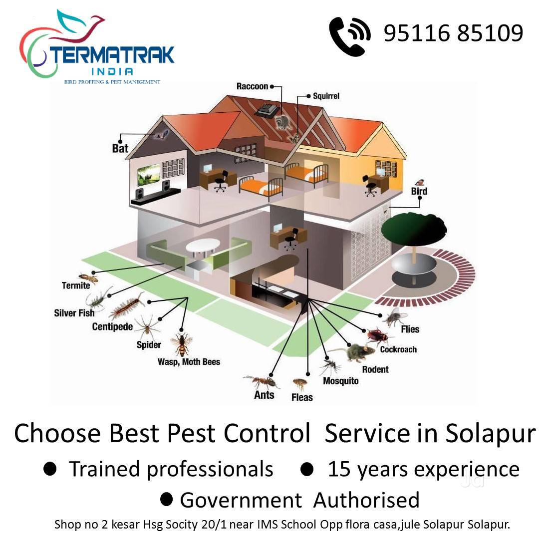 Top Bird Control Services in Whitefield Best Pest Control Companies