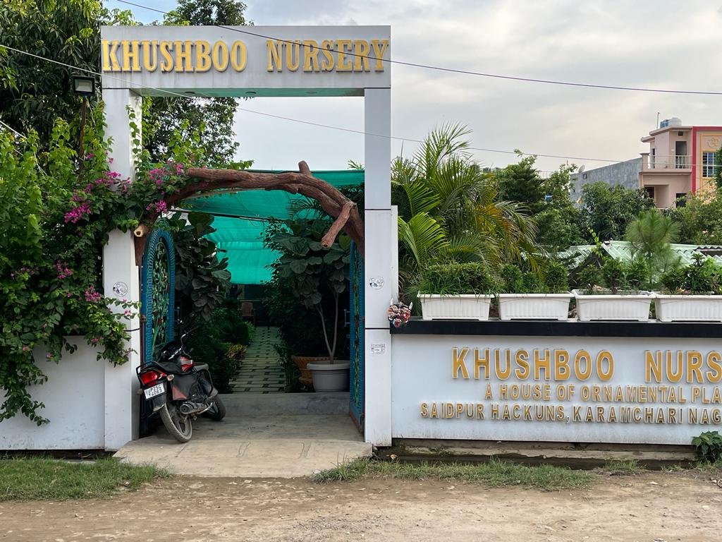 Catalogue Gangwar Nursery in Bareilly Justdial