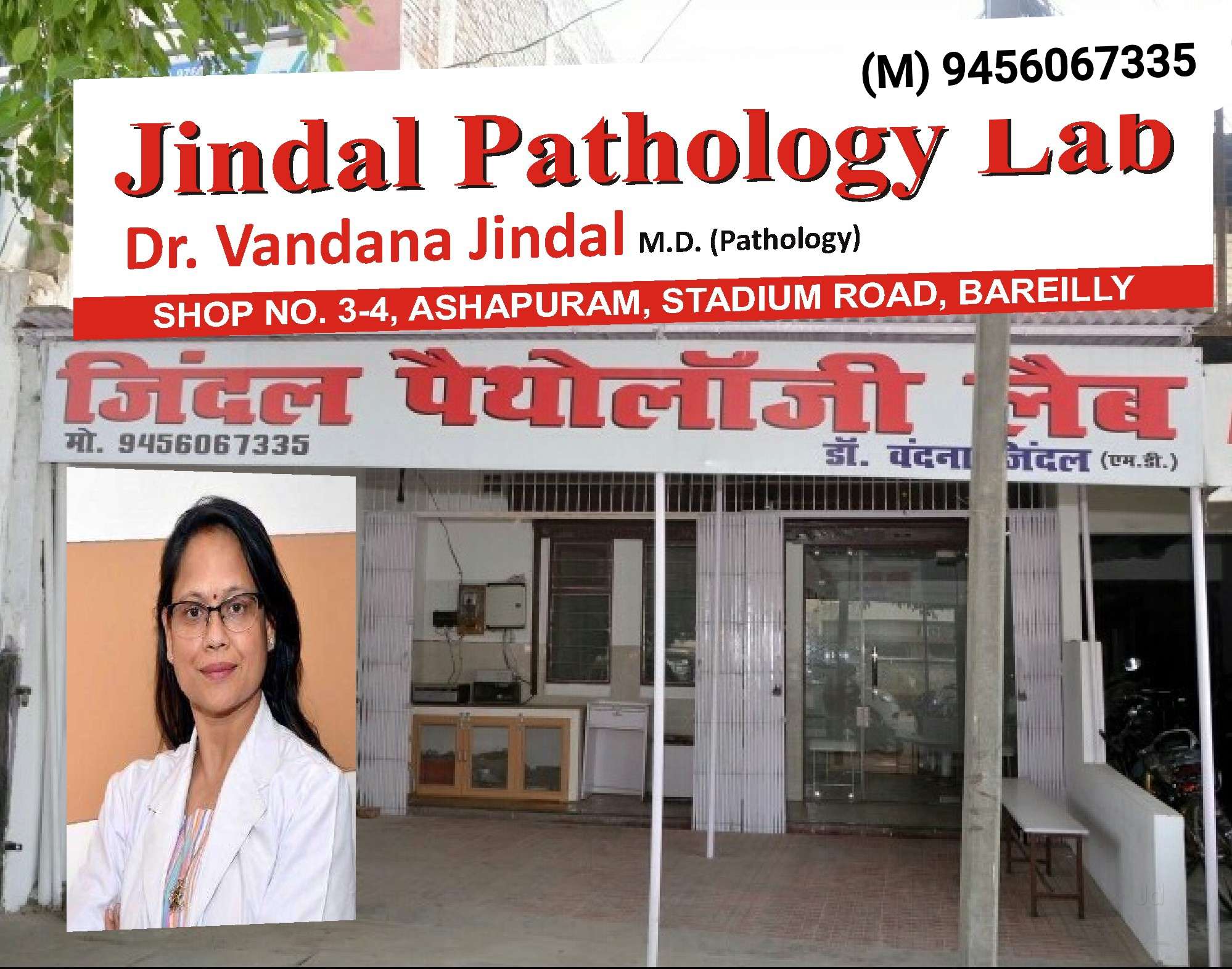 Jindal Pathology Lab Dr Vandana Jindal M B B S M D Pathologist