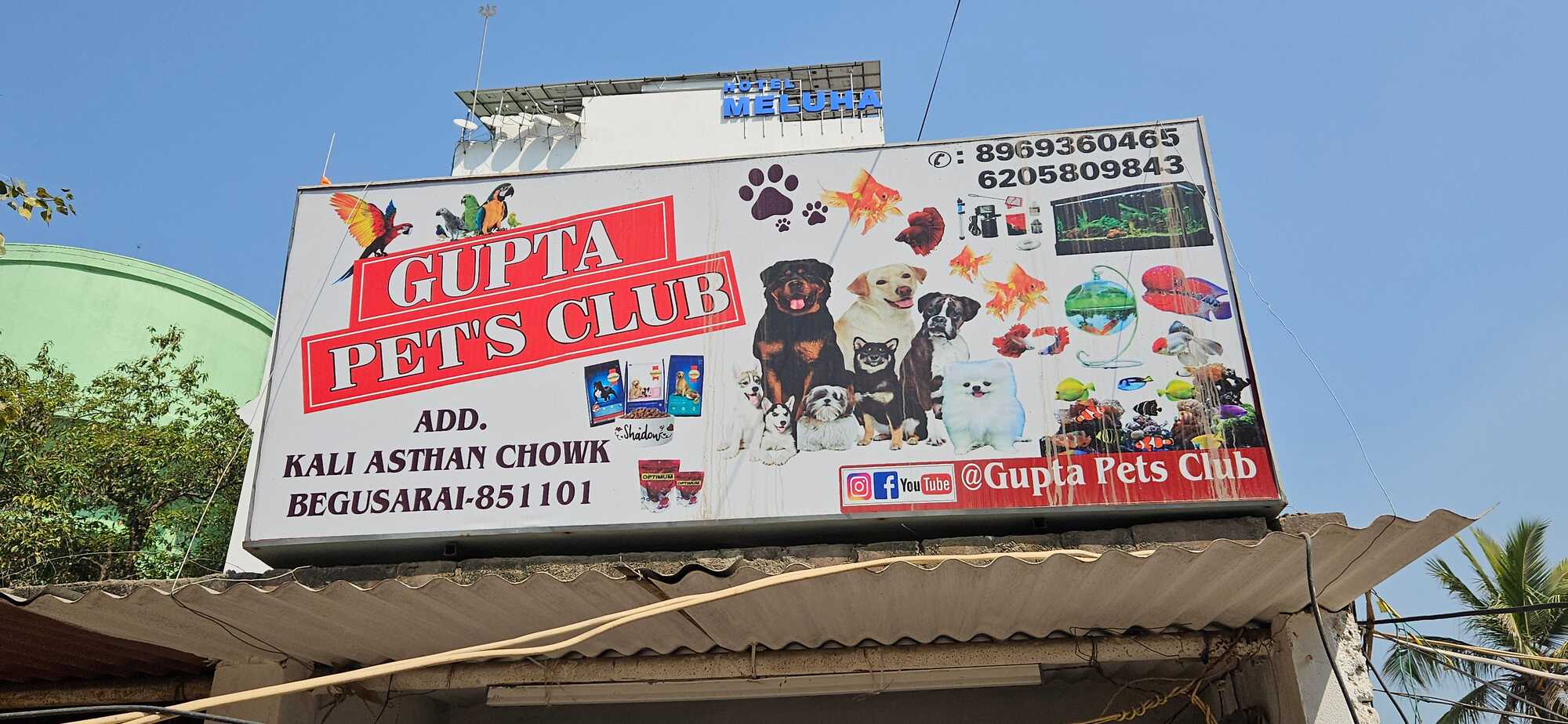 Prakash Aquarist Aquarium Accessory Price Starting From Rs 1,100