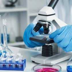 Lab view 17